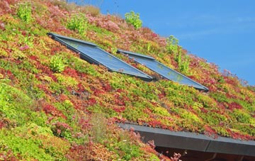 Bonds living roof systems